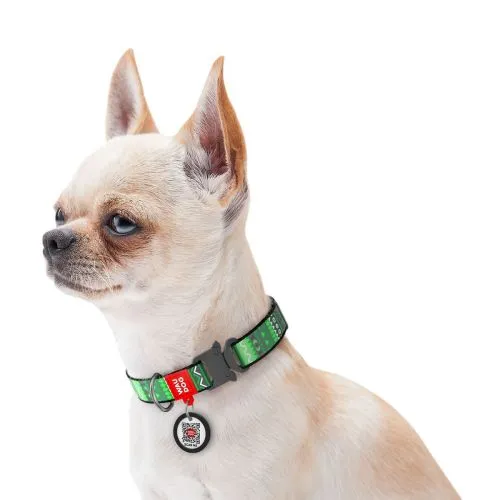 Нашийник для собак нейлоновий Collar WAUDOG Nylon c QR паспортом, малюнок "Етно зелений", металева пряжка-фастекс, Ш 15 мм, Дл 25-35 см (5191) - фото №2